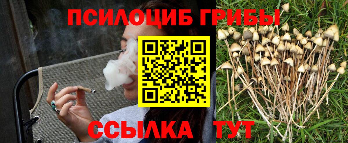 Псилоцибиновые грибы Cubensis  Старая Русса 