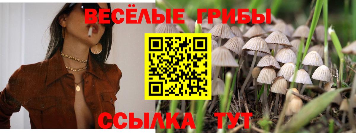 Галлюциногенные грибы прущие грибы  Псилоцибиновые грибы Cubensis  Старая Русса  Вход с VPN 